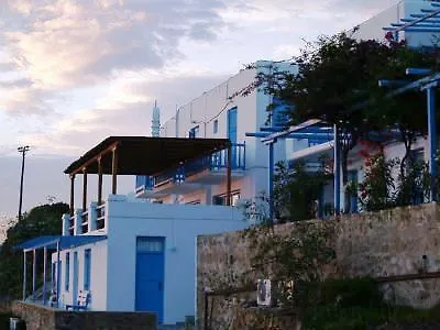 Hotel Carrop Tree